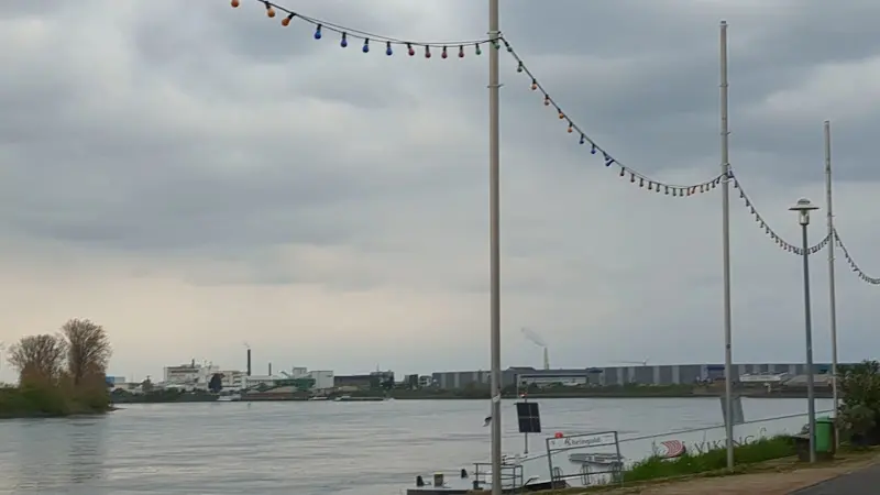 Rheingold Hotel-Restaurant_Gernsheim_slider_image_2