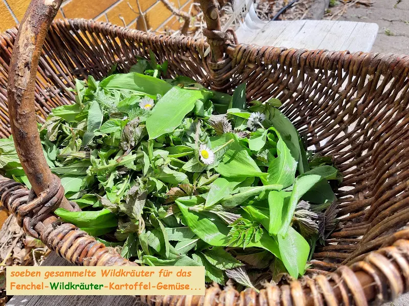 Dorfstube Rengersfeld_(Rhön)_slider_image_3