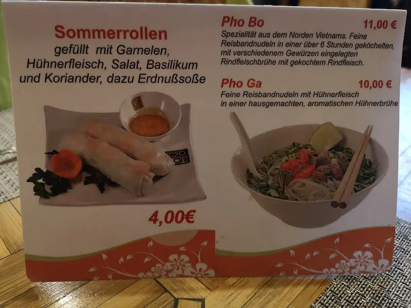 Menu_Viet Long_Ginsheim-Gustavsburg_image_1