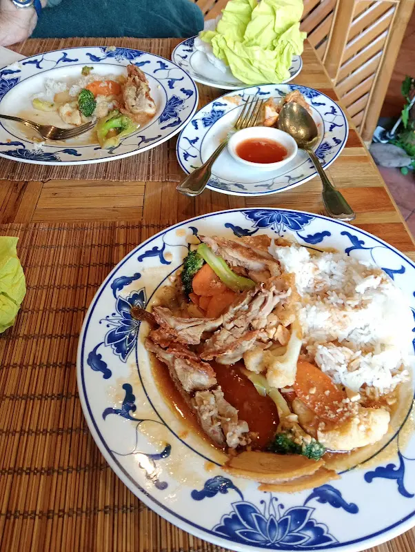 Jürgen Mehdi Werres_Viet Long_Ginsheim-Gustavsburg_recensione