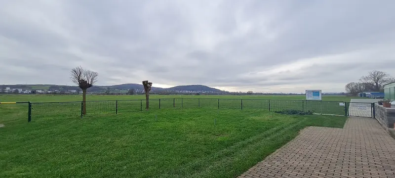 The Frosch_Flugplatz 1 - Alpenküche rockt Hessen_Gelnhausen_review