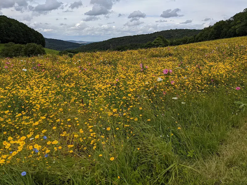 Der Urgeschmack - Hofladen Weißenbach_Großalmerode_slider_image_3
