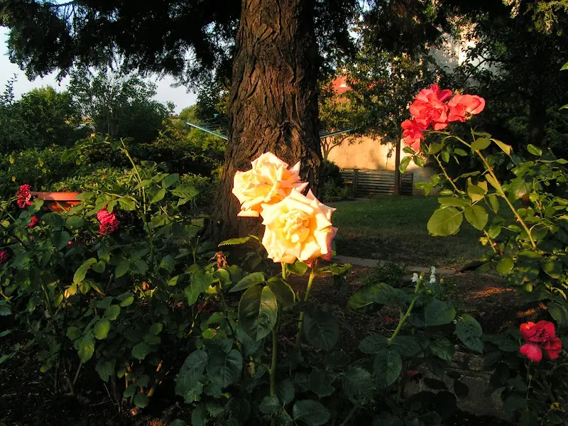 Landgasthof und Weinhaus Schmitt_Großenlüder_slider_image_3