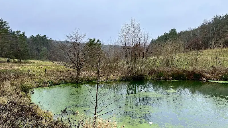 Fred van Os_Jagdhof Klein Heilig Kreuz_Großenlüder_review