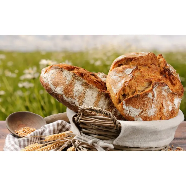 Schloss Cafe Lukasch_Grünberg_slider_image_2