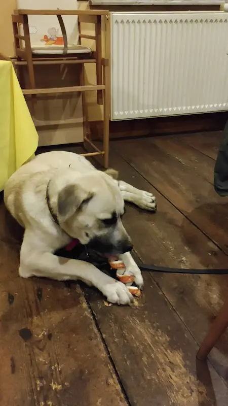 Gaststätte - Der Drache_Gerstungen_slider_image_2