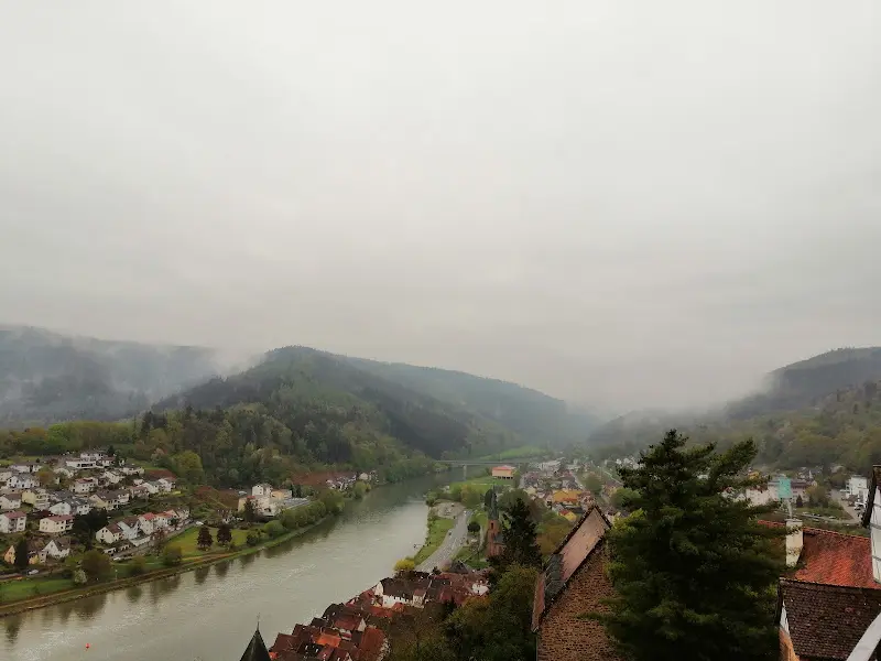 Romantisches Hirschhorn am Neckar ristorante a (Neckar)