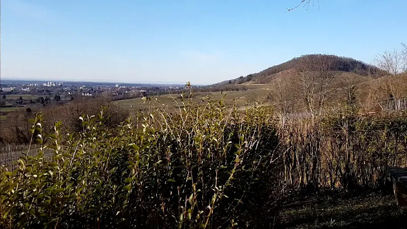 Ausschank Rebmuttergarten, Weingut Kloster Eberbach_(Bergstraße)_slider_image_2