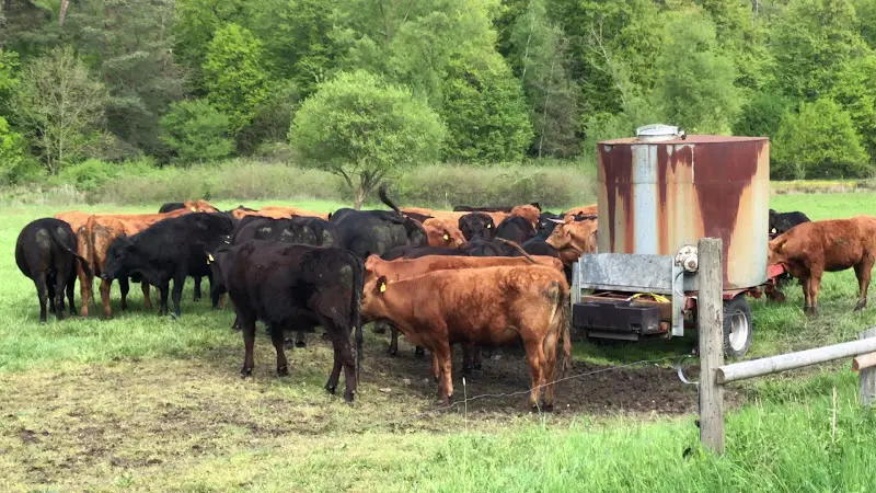 Patershausen_Heusenstamm_slider_image_2