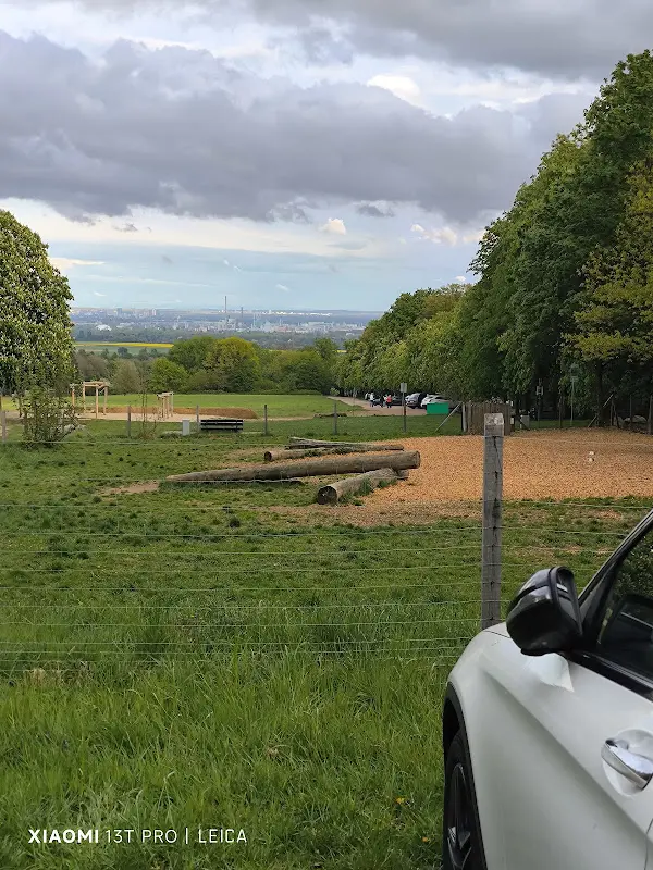 Restaurant Viehweide Hofheim - Waldgaststätte Ausflugslokal_Taunus_slider_image_3