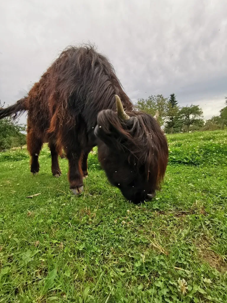Leon Lubs_Berghof Weinäcker_Gaiberg_recensione