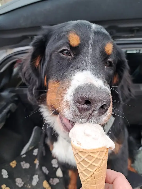 Eiscafé & Bistro Taranto_Immenhausen_slider_image_2