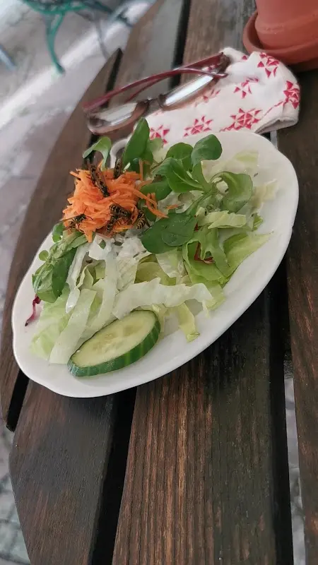 Gasthaus zum Thiergarten_Hofgeismar_slider_image_2