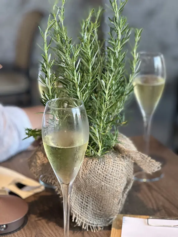 Alexandra Runge_Vineria_Karben_review