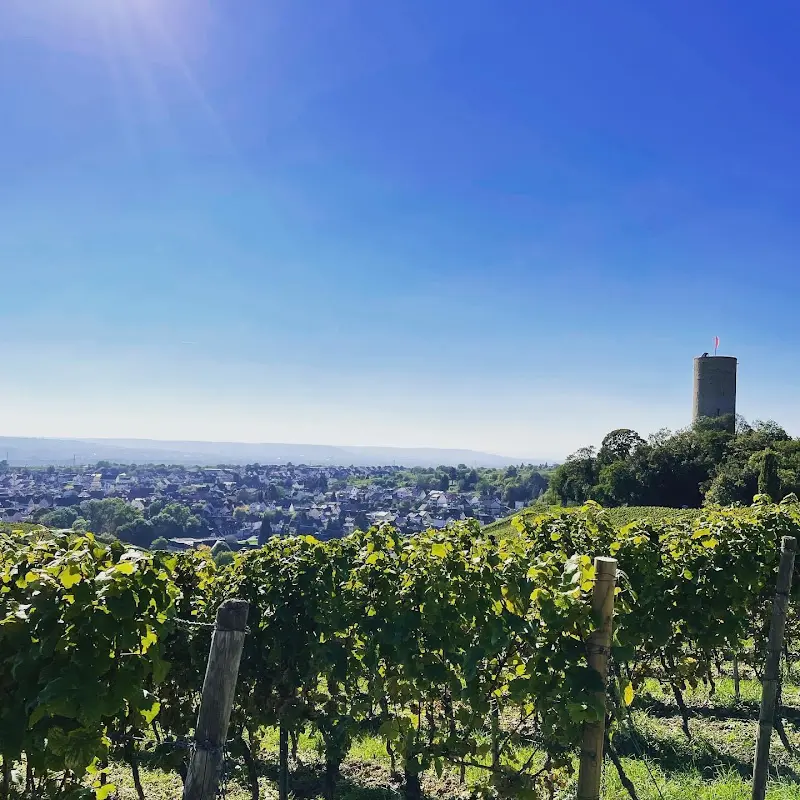 Weingut Speicher-Schuth_Kiedrich_slider_image_3