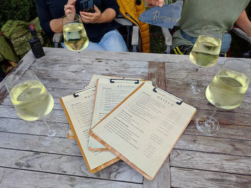 Menu_Baiken by Schröer_Rhein_image_1