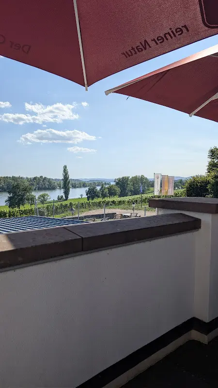 Restaurant Chamamé in der Weinbar Künstler_Rhein_slider_image_2