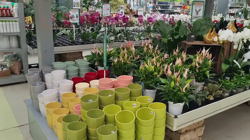 CAFé · TROPICA · BISTRO_Kriftel_slider_image_2