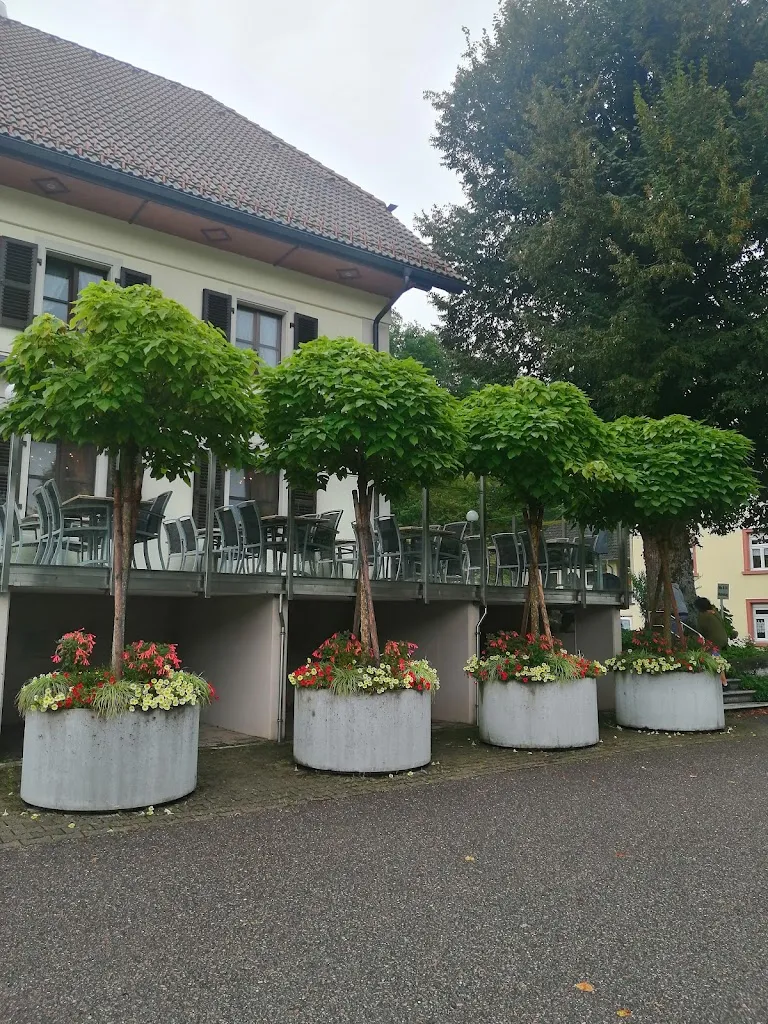 Reimund Fakin_Gasthaus Löwen_Görwihl_review