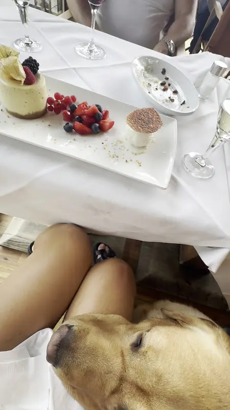 Maryna Kolesnikova_Lodge – Beef’s Finest_Taunus_review