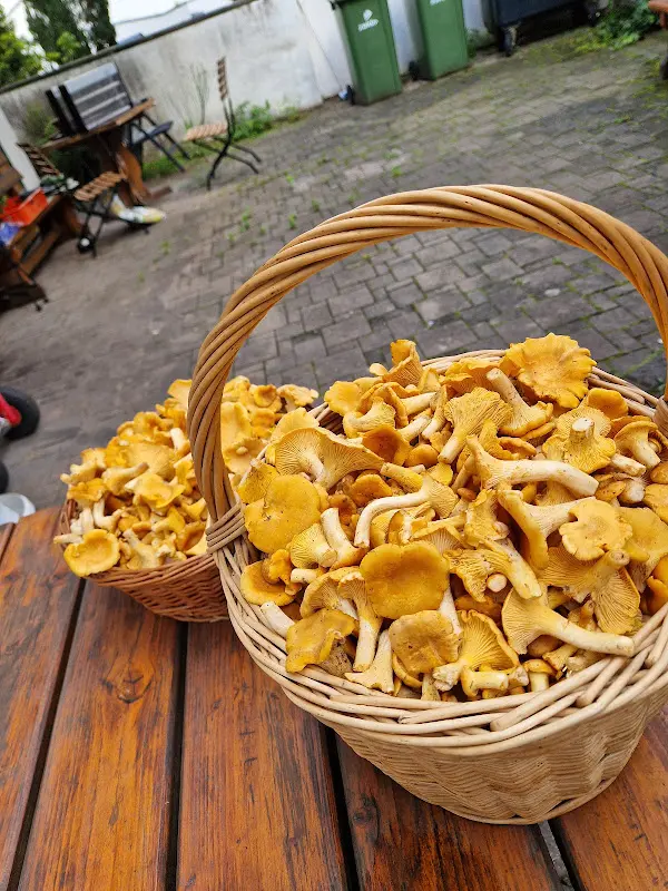 Edde im Schankhaus Linde_Lampertheim_slider_image_2