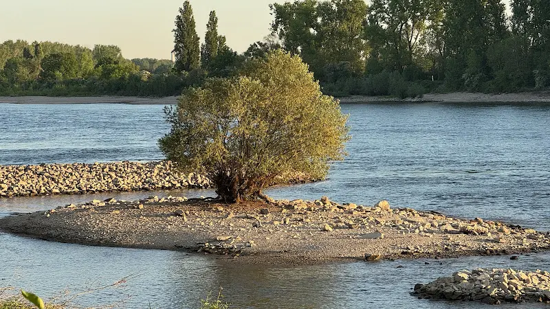 Gaststätte Zum Neurhein_Lampertheim_slider_image_3