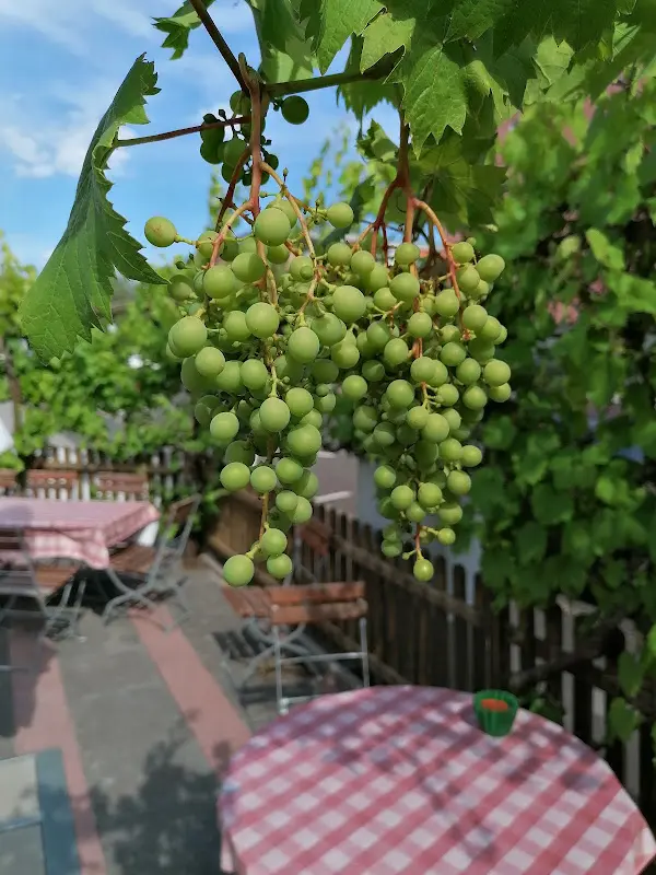 Gaststätte ZUM KRÖNCHEN mit Biergarten_Langenselbold_slider_image_3