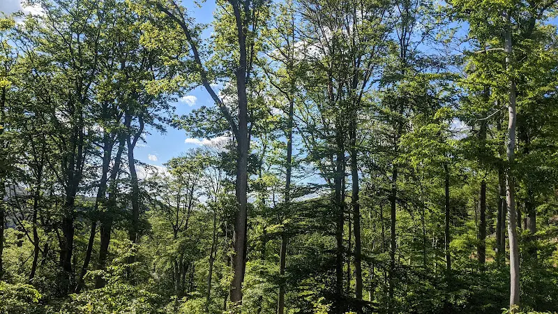 Bistro Lindenfels_Lindenfels_slider_image_3