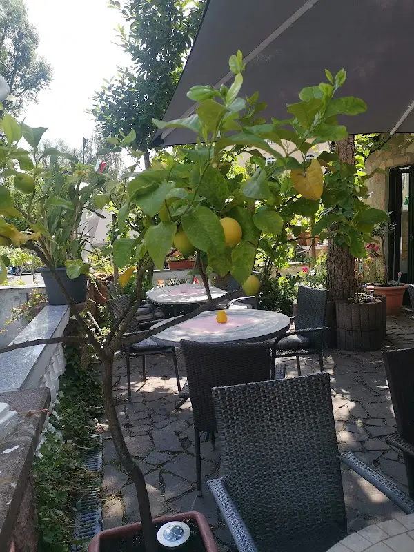 Michelangelo restaurant in Weilburg