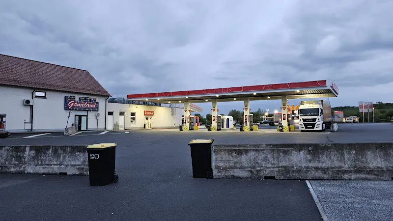 Horea Stefan Danciu_MAXI Autohof Malsfeld_Malsfeld_review