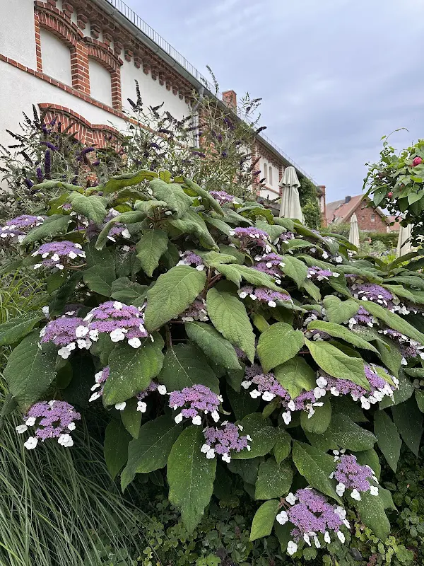 Alke Fin_Landhaus Ribbeck_Nauen_review