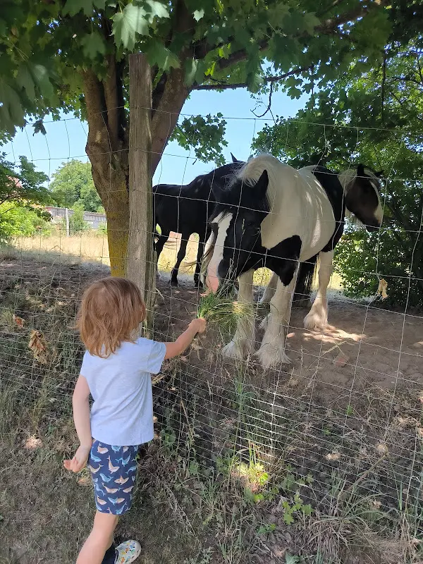 Stefanie Linke_Gast-und-Erlebnishof-Loosgut_Vierlinden_review