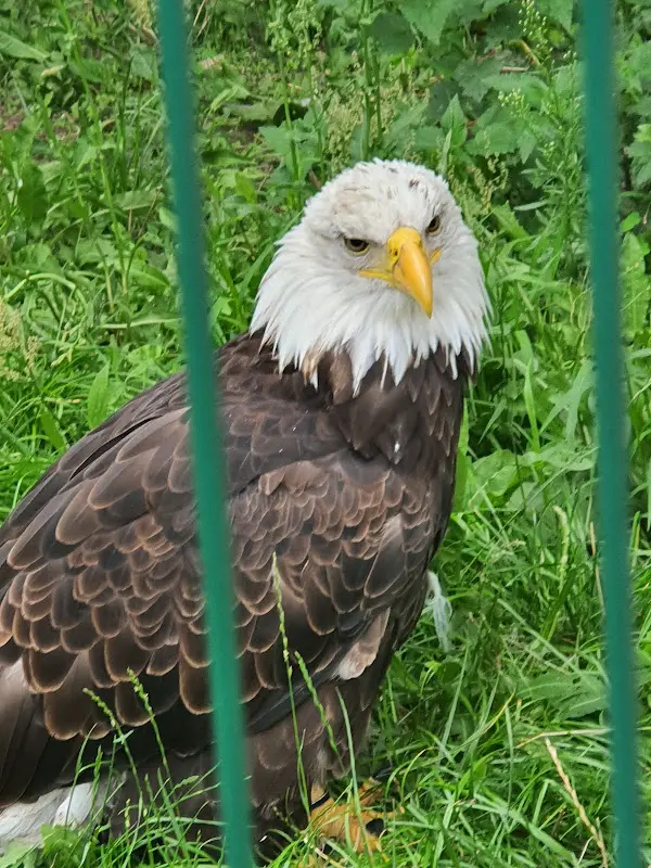 Gast-und-Erlebnishof-Loosgut_Vierlinden_slider_image_1