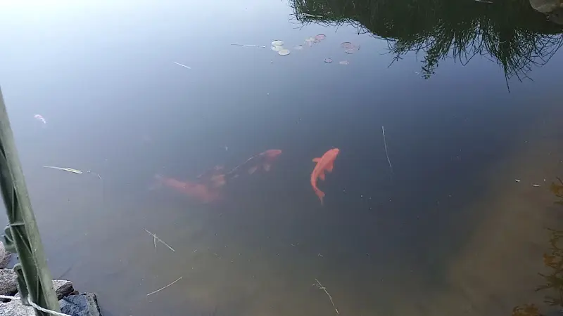 Gast-und-Erlebnishof-Loosgut_Vierlinden_slider_image_2