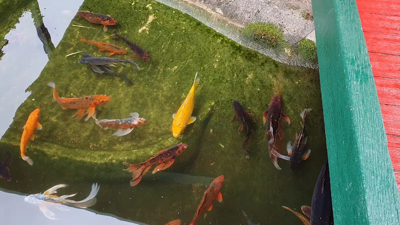 China Restaurant Hing´s_Perleberg_slider_image_2