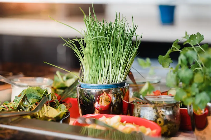 Bistro Seeblick - Fontane Therme_Neuruppin_slider_image_2