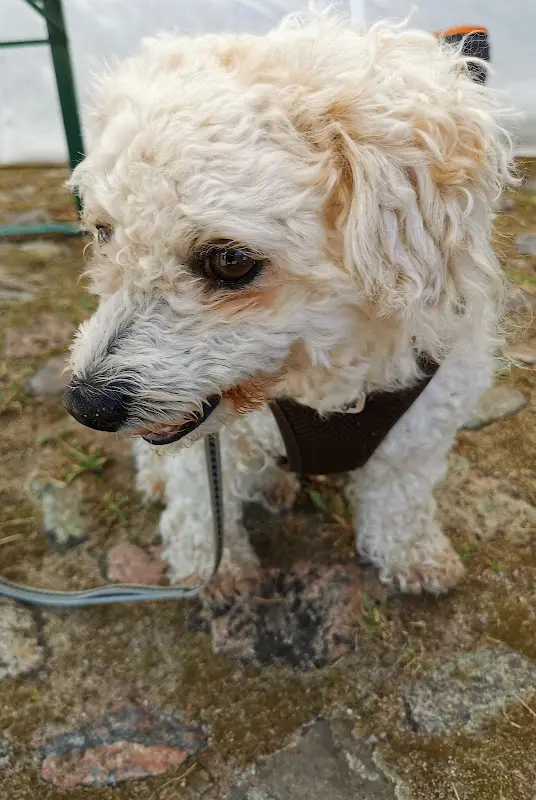 Putlitzer Hof Inh. Horst Schlapmann_Putlitz_slider_image_2