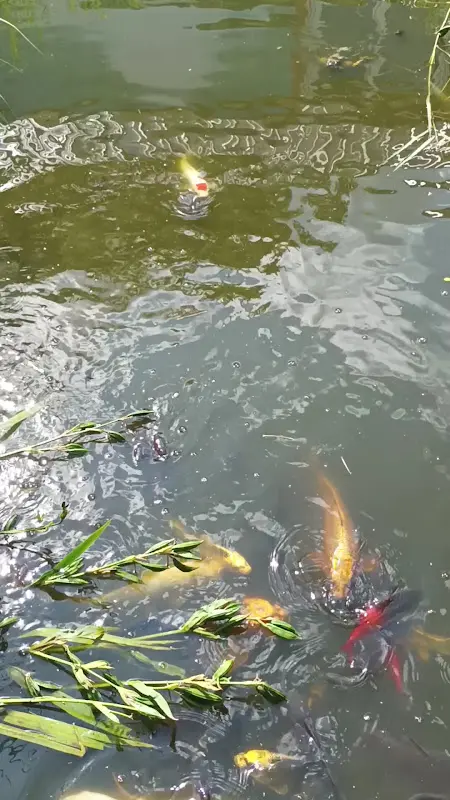 Landhotel & Brauhaus Prignitzer Hof_Pritzwalk_slider_image_2