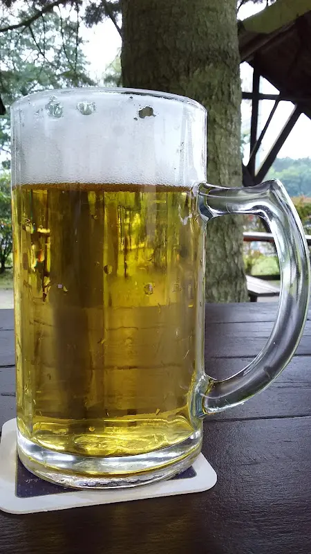 Menu_Speiselokal Seeblick_Rheinsberg_immagine_9