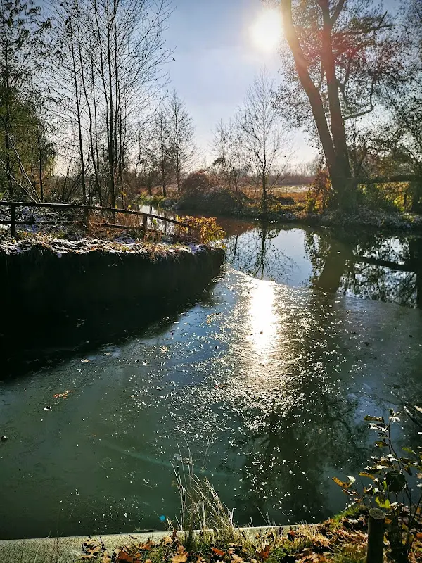 Imbiss bei Mickys Parkidylle_Uebigau-Wahrenbrück_slider_image_3