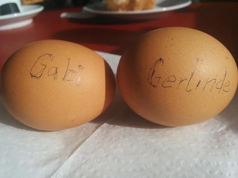 Menu_Bäckerei & Konditorei Plentz - Haus des Brotes_Velten_immagine_5