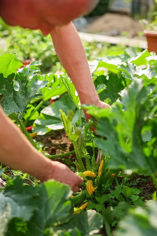 Menu_Seepark Restaurant am Wandlitzsee_Wandlitz_image_4