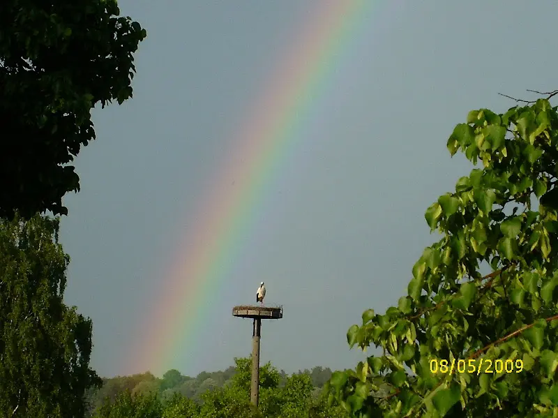 Gasthaus/Pension/Ferienwohnungen Dampflok Wandlitz_Wandlitz_slider_image_3