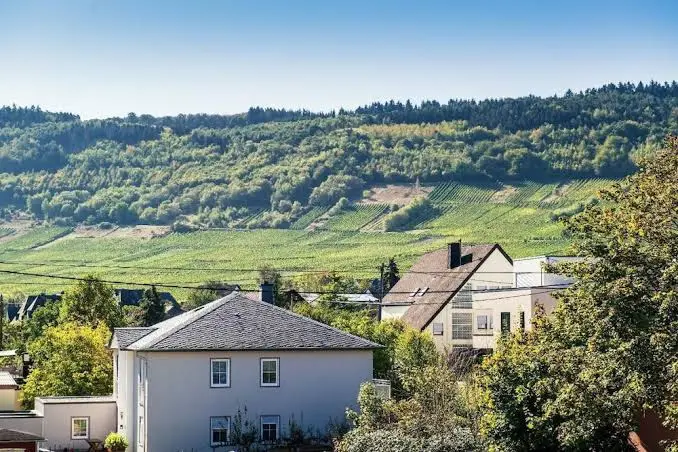 Hotel Weinhaus Weis restaurant in Leiwen