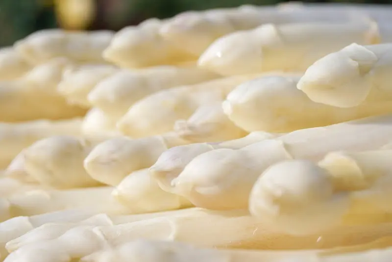 Spargelland Hoppenrade_Wustermark_slider_image_2