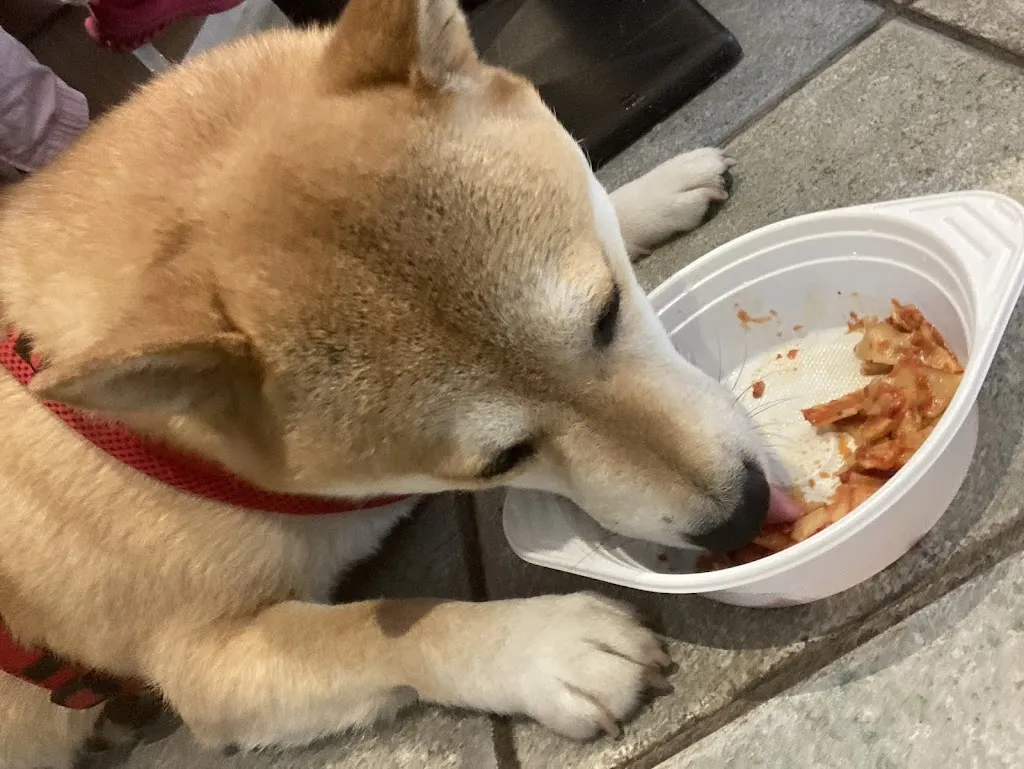 Snackmacherei Catering_Hamburg_slider_image_3