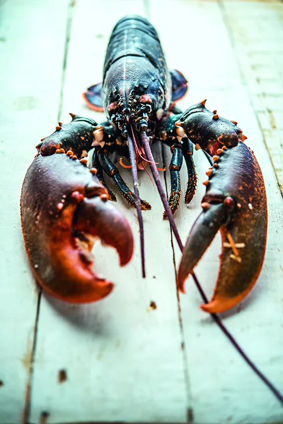 Café Paris_Hamburg_slider_image_3