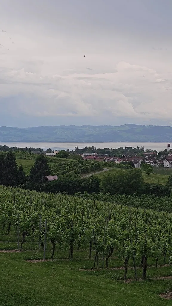 Flavius Dumitrescu_Max & Moritz Gasthaus-Brauerei GmbH_Bodensee_Bewertung