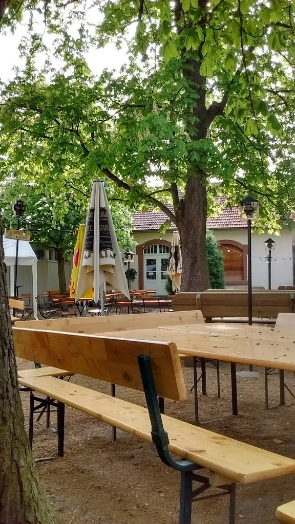 Restaurant Zum Löwen restaurant in Seeheim-Jugenheim