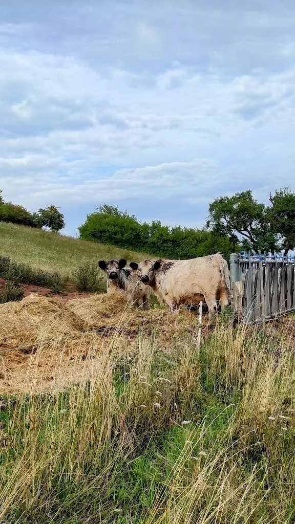 Karen L. Rørdam_Hofgut Grimm | Weinlounge | Restaurant_Külsheim_recensione